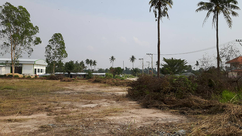 New village land sale