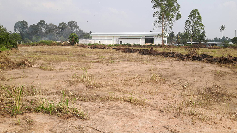 Land view with factory